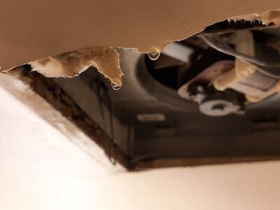 Professional water damage restoration services in Sioux City - NexusRenew